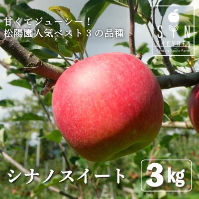 ふるさと納税 遠野市 先行予約 松陽園の樹上 完熟 りんご シナノスイート 3kg 岩手県 遠野市産 農家直送