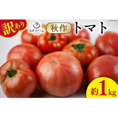 ふるさと納税 中央市 [2026年発送 先行受付][秋作][訳あり]桃太郎トマト 約1kg