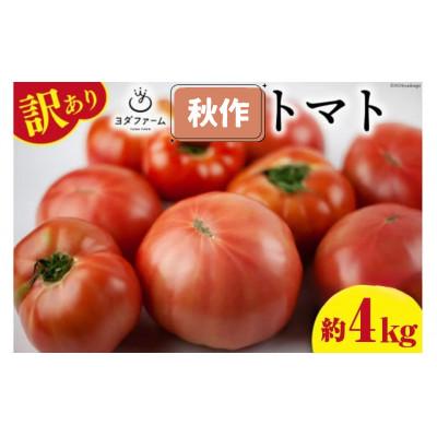 ふるさと納税 中央市 【2026年発送　先行受付】【秋作】【訳あり】桃太郎トマト 約4kg　 | 