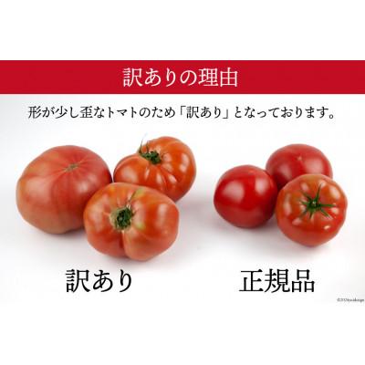 ふるさと納税 中央市 【2026年発送　先行受付】【秋作】【訳あり】桃太郎トマト 約4kg　 |  | 01
