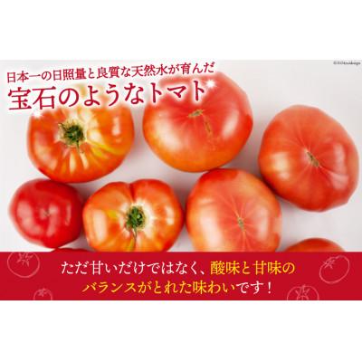 ふるさと納税 中央市 【2026年発送　先行受付】【秋作】【訳あり】桃太郎トマト 約4kg　 |  | 02