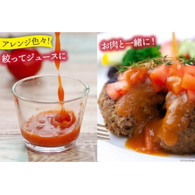 ふるさと納税 中央市 【2026年発送　先行受付】【秋作】【訳あり】桃太郎トマト 約4kg　 |  | 03
