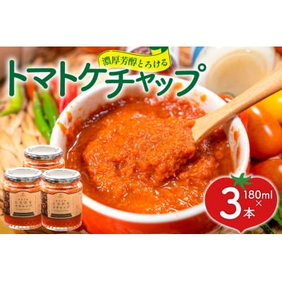 ふるさと納税 中央市 濃厚芳醇とろけるトマトケチャップ 3本 (180g×3)
