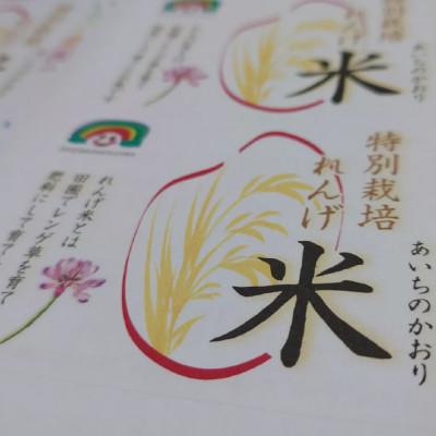 ふるさと納税 日進市 特別栽培れんげ米 日進市産 あいちのかおり 1.5kg [精米]