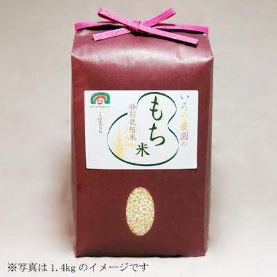 ふるさと納税 日進市 特別栽培れんげ米 日進市産もち米 1.4kg [精米]