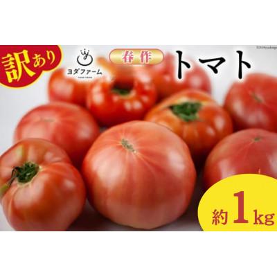ふるさと納税 中央市 [2026年発送 先行受付][春作][訳あり]桃太郎トマト 約1kg