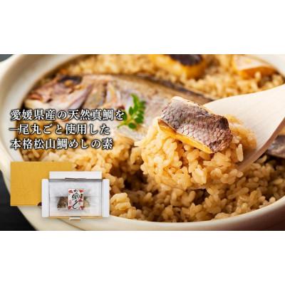 ふるさと納税 松山市 [ギフト用]熨斗付き 松山鯛めしの素(2合タイプ×2p)