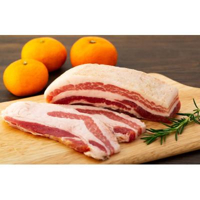 ふるさと納税 松山市 [ギフト用]熨斗付き 愛媛県産豚肉と柑橘を使ったみかん生ベーコン
