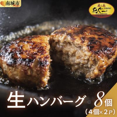 ふるさと納税 南城市 [美ら島あぐー]ハンバーグ8個(4個×2パック 120g/個)