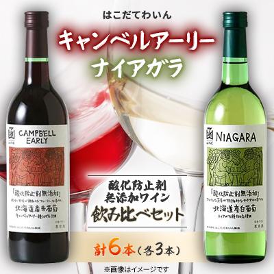 ふるさと納税 七飯町 酸化防止剤無添加ワイン 飲み比べセット 6本(キャンベルアーリー3本・ナイアガラ3本)