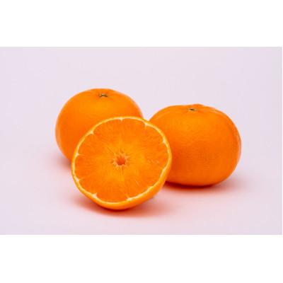 ふるさと納税 吉野ヶ里町 にじゅうまる 計約5kg バラ入り(吉野ヶ里町)