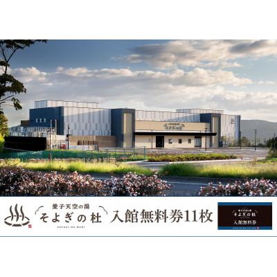 ふるさと納税 仙台市 愛子天空の湯 そよぎの杜 入館無料券 11枚