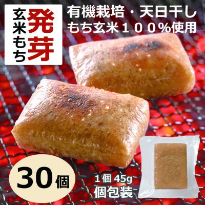 ふるさと納税 登米市 天日干し米の発芽玄米餅(有機原材料100%使用)45g×30個 (1350g)