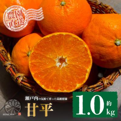 ふるさと納税 松山市 [先行予約]1月下旬から発送予定 甘平 家庭用 お試しサイズ 約1kg 4〜5玉目安 サイズ混合