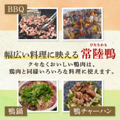ふるさと納税 稲敷市 茨城県稲敷市産合鴨【常陸鴨】スライス 600g (冷凍) |  | 02