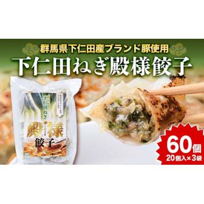 ふるさと納税 下仁田町 「下仁田名産シリーズ」下仁田ねぎ殿様餃子 60個(20個入り×3袋)F21K-488