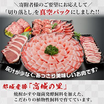 ふるさと納税 都城市 【Yahoo!ふるさと納税限定】【使い易さ抜群】都城産豚「高城の里」わくわくセット4.35kg |  | 01