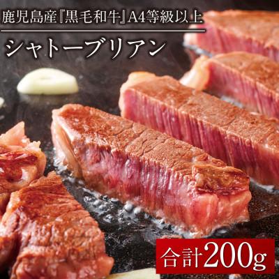 ふるさと納税 姶良市 鹿児島産黒毛和牛(A4等級以上)シャトーブリアン 2枚入 合計200g(姶良市)
