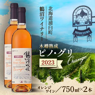 ふるさと納税 浦臼町 鶴沼収穫ワイン[木樽熟成 ピノ・グリOrange]オレンジワイン 2023年産 2本 銀賞受賞