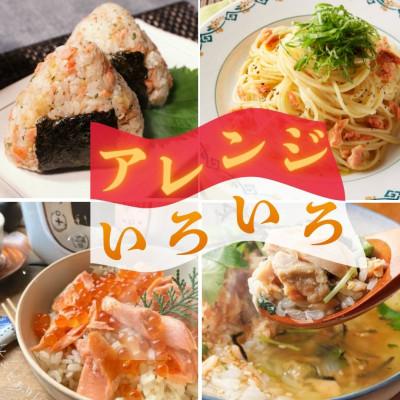 ふるさと納税 西桂町 ご飯のお供にピッタリ!!富士山麓育ち 富士頂純サーモン 焼きほぐし瓶詰め　1瓶100g×20本セット_2