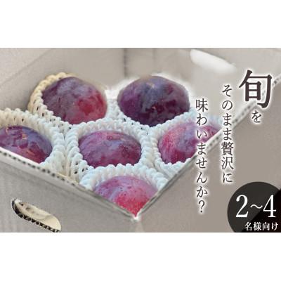 ふるさと納税 甲州市 [先行予約2026年]甲州市産 貴陽 1kg(5〜7個入)