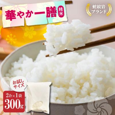 ふるさと納税 養父市 お試し!令和8年産<先行受付>9月より順次発送送[蛇紋岩ブランド 華やか一膳]300g(2合×1袋)