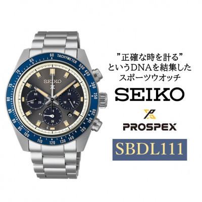 ふるさと納税 塩尻市 SEIKO プロスペックス ソーラー クロノグラフ 腕時計