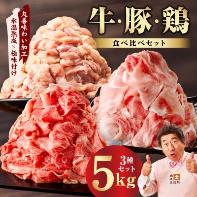 ふるさと納税 泉佐野市 国産 牛肉&amp;豚肉&amp;鶏肉セット 5kg 氷温熟成×極味付け 食べ比べ 小分け 訳あり