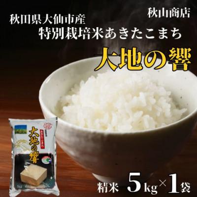 ふるさと納税 大仙市 令和7年産「特別栽培米 秋田県産あきたこまち 大地の響 精米5kg×1袋」