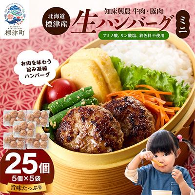 ふるさと納税 標津町 生ハンバーグミニ 25個セット(5個×5パック)冷凍でお届け 国産 牛肉 豚肉