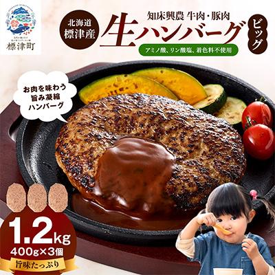 ふるさと納税 標津町 生ハンバーグ 400g×3個セット 冷凍でお届け 国産 牛肉 豚肉