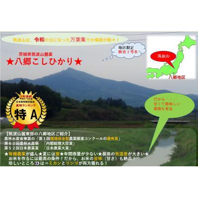 ふるさと納税 茨城県 【玄米5kg⇒五分搗き米】筑波山麓厳選★検査1等米こしひかり【恋瀬姫の舞】令和7年産 |  | 01