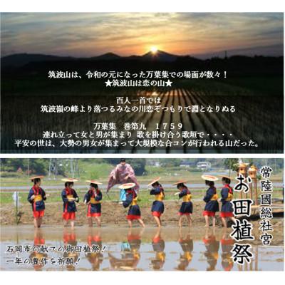 ふるさと納税 茨城県 【玄米5kg⇒五分搗き米】筑波山麓厳選★検査1等米こしひかり【恋瀬姫の舞】令和7年産 |  | 02