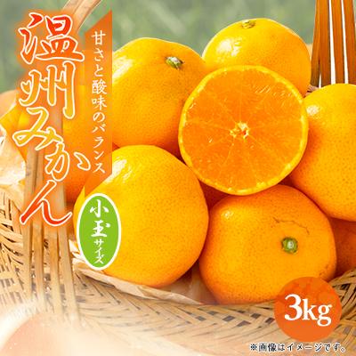 ふるさと納税 八幡浜市 愛媛県八幡浜産 温州みかん3kg[小玉サイズ][B94-3]