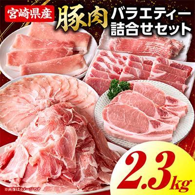 ふるさと納税 国富町 豚肉バラエティー詰合せセット 2.3kg(国富町)