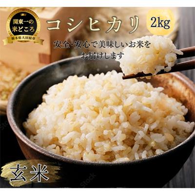 ふるさと納税 大田原市 [令和7年産新米 数量限定]古谷農産 栽培期間中農薬・化学肥料不使用 コシヒカリ 玄米 2kg