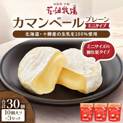 ふるさと納税 中札内村 カマンベールプレーン 〜ミニタイプ〜 10個入り×3セット 合計30個