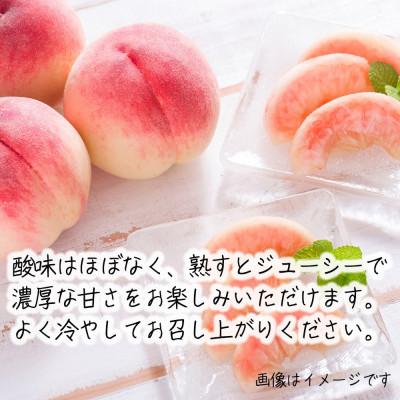ふるさと納税 長野県 令和8年産 桃 【きらら姫】【訳あり品】約3kg(7〜12個) 長野県産の画像
