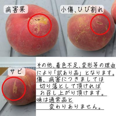 ふるさと納税 長野県 令和8年産 桃 【きらら姫】【訳あり品】約3kg(7〜12個) 長野県産の画像