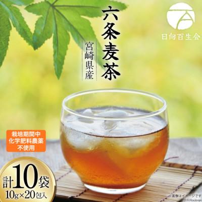 ふるさと納税 日向市 お茶 六条麦茶 ( 10g 20包 ) ×10袋