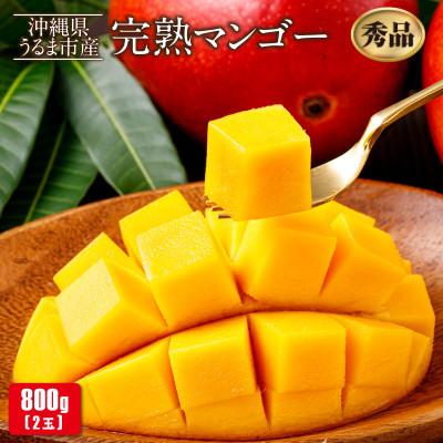 ふるさと納税 うるま市 沖縄県うるま市産 完熟マンゴー 秀品 800g[2026年7月〜順次発送]
