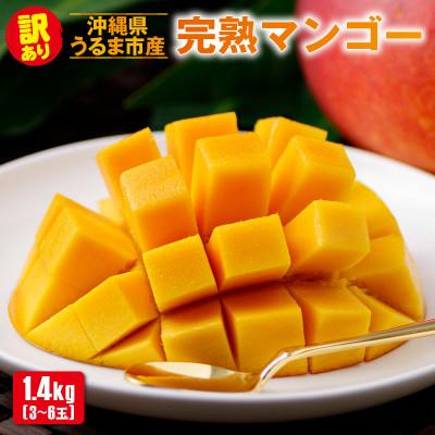 ふるさと納税 うるま市 沖縄県うるま市産 完熟マンゴー(訳あり品) 1.4kg[2026年7月〜順次発送]