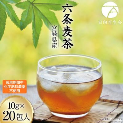 ふるさと納税 日向市 お茶 六条麦茶 10g 20包