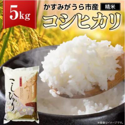 ふるさと納税 桜川市 [ 令和7年産 ] コシヒカリ 精米 5kg (茨城県共通返礼品 かすみがうら市)
