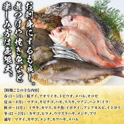 ふるさと納税 阿久根市 旬の天然鮮魚 BOXセット (5〜10kg)【さるがく