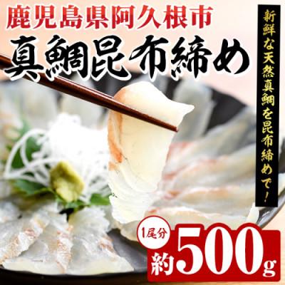ふるさと納税 阿久根市 真鯛 昆布締め 約500g(1尾分)[さるがく水産]akn028-49
