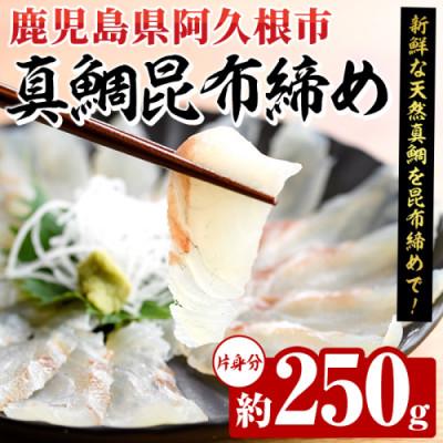 ふるさと納税 阿久根市 真鯛 昆布締め 約250g(片身分)[さるがく水産]akn028-48