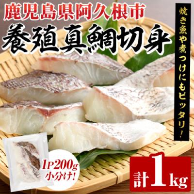 ふるさと納税 阿久根市 養殖真鯛 切身 計1kg(200g×5P)[さるがく水産]akn028-46