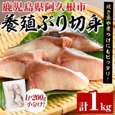 ふるさと納税 阿久根市 養殖ぶり切身 約1kg(200g×5P)[さるがく水産]akn028-44