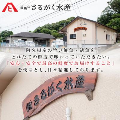 ふるさと納税 阿久根市 養殖ぶり切身 約1kg(200g×5P)【さるがく水産】akn028-44 |  | 01